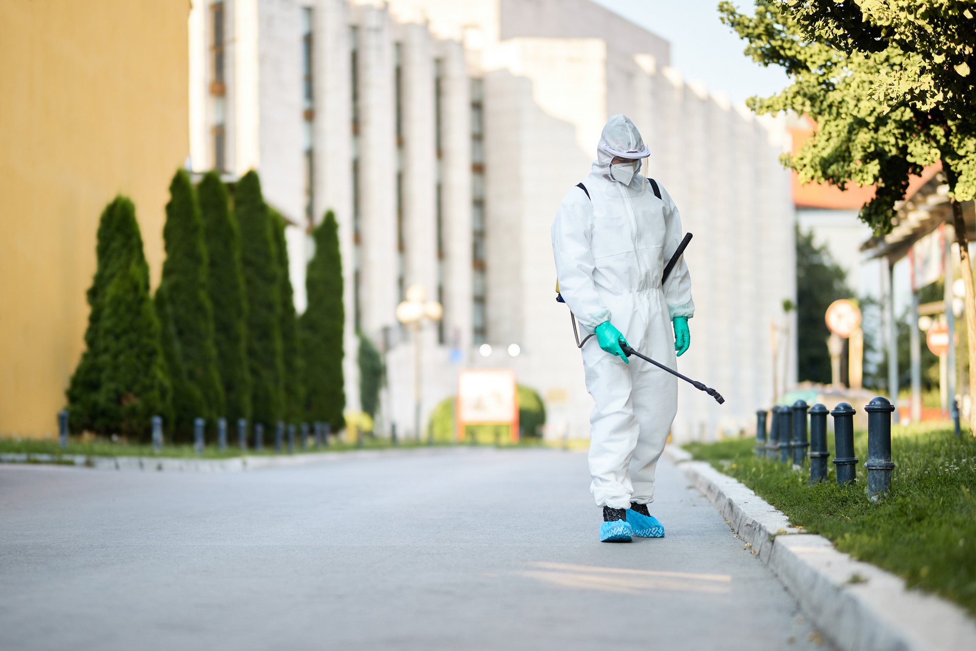 Our Approach to Bed Bug Extermination
